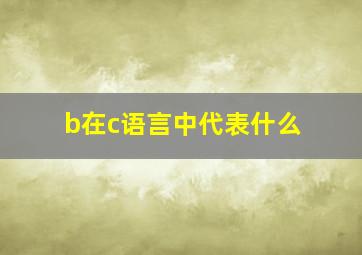 \b在c语言中代表什么